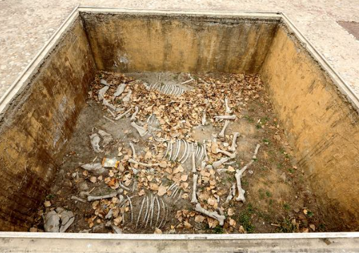 排葬坑,其中赫赫有名的商王大墓就在武官村