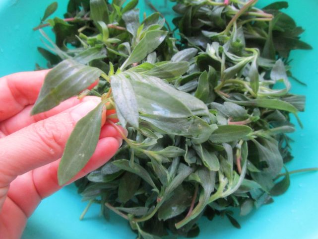 天热了野菜别错过,清热解暑很适合夏天,简单一蒸就上桌,好吃