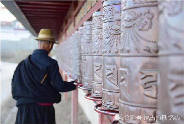 为什么藏族不吃鱼 回族不吃猪 满族不吃狗 背后的渊源很深 全网搜