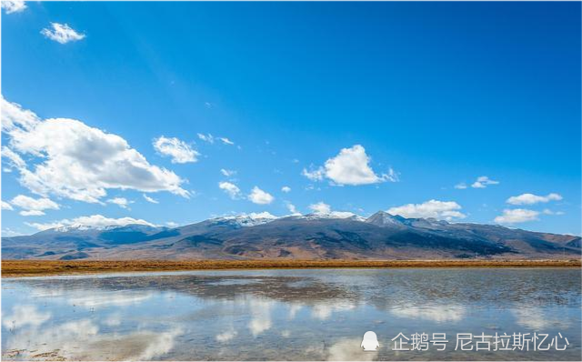 为什么藏族不吃鱼 回族不吃猪 满族不吃狗 背后的渊源很深 全网搜