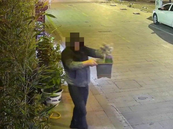 茶叶店排行_艾媒金榜|2021年6月中国本土茶叶品牌线上发展排行榜Top10(2)