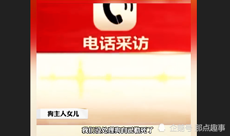 世界萌犬排行_世界头号杀人犬!曾濒临灭绝,现如今被禁养(2)