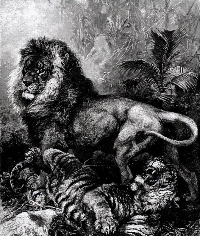 历史上10大狮虎斗真实死亡事件,互有胜负,其中2头老虎死得真惨