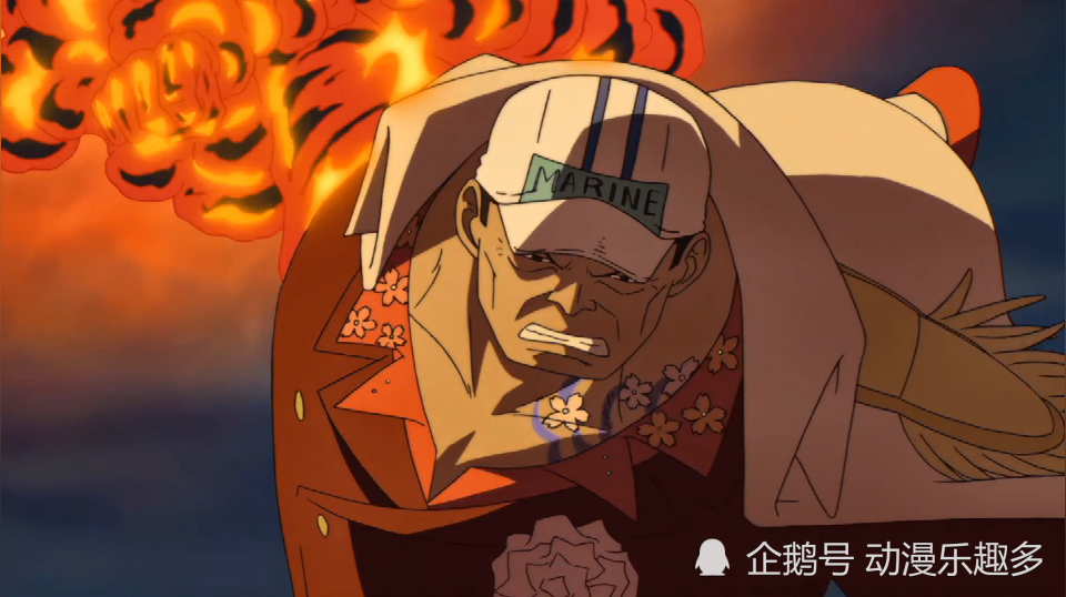 海贼王特殊的三种超人系恶魔果实 腾讯新闻