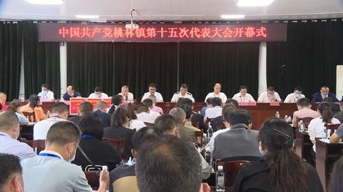 桃林镇GDP_桃林镇第十五次党代会召开