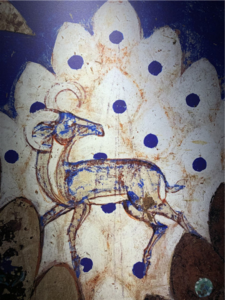 在云冈石窟看龟兹壁画上海摄影家丁和用作品对接两大石窟