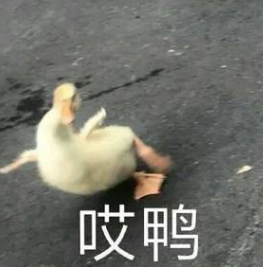 代理和平精英：出生島1分鐘能干嘛？多數(shù)玩家這樣做，你屬于哪種？荷蘭機(jī)場吸煙被抓