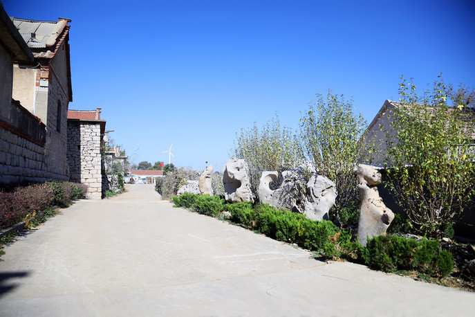 济南莱芜:绣花功夫 建设美丽宜居新农村_腾讯新闻