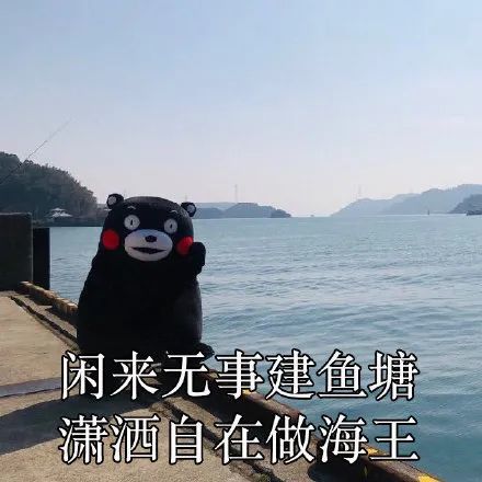 騙財騙色近百萬現實版瀘州海王落網演技派聊天記錄曝光