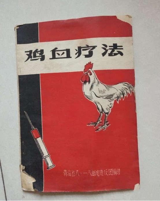 那本小册子里,俞昌时详细的记录了鸡血可以治疗的多种疾病,但并没有说