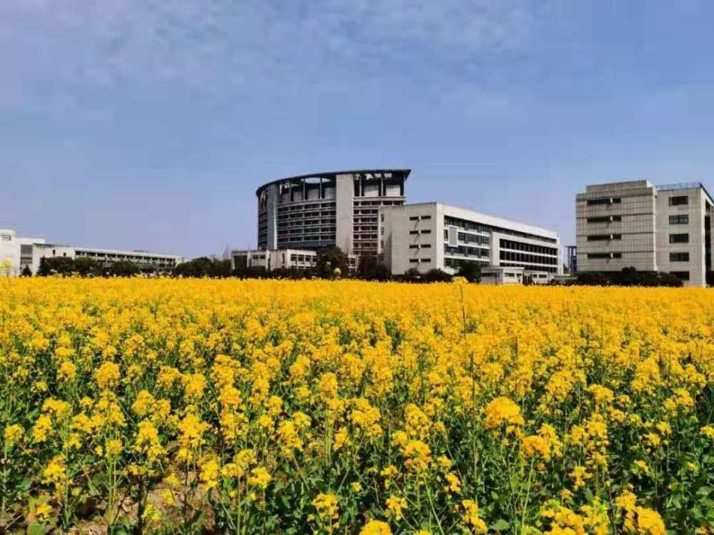 浙江工商大学怎么样到底好不好