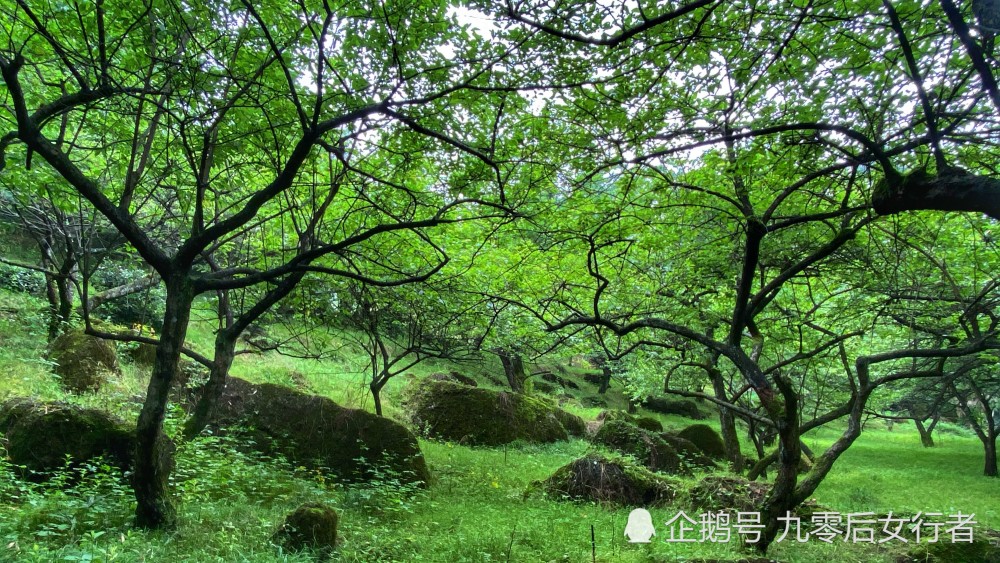 访鹤鸣山天谷洞,位于深山悬崖上深不可测,曾是历代高道修炼之地