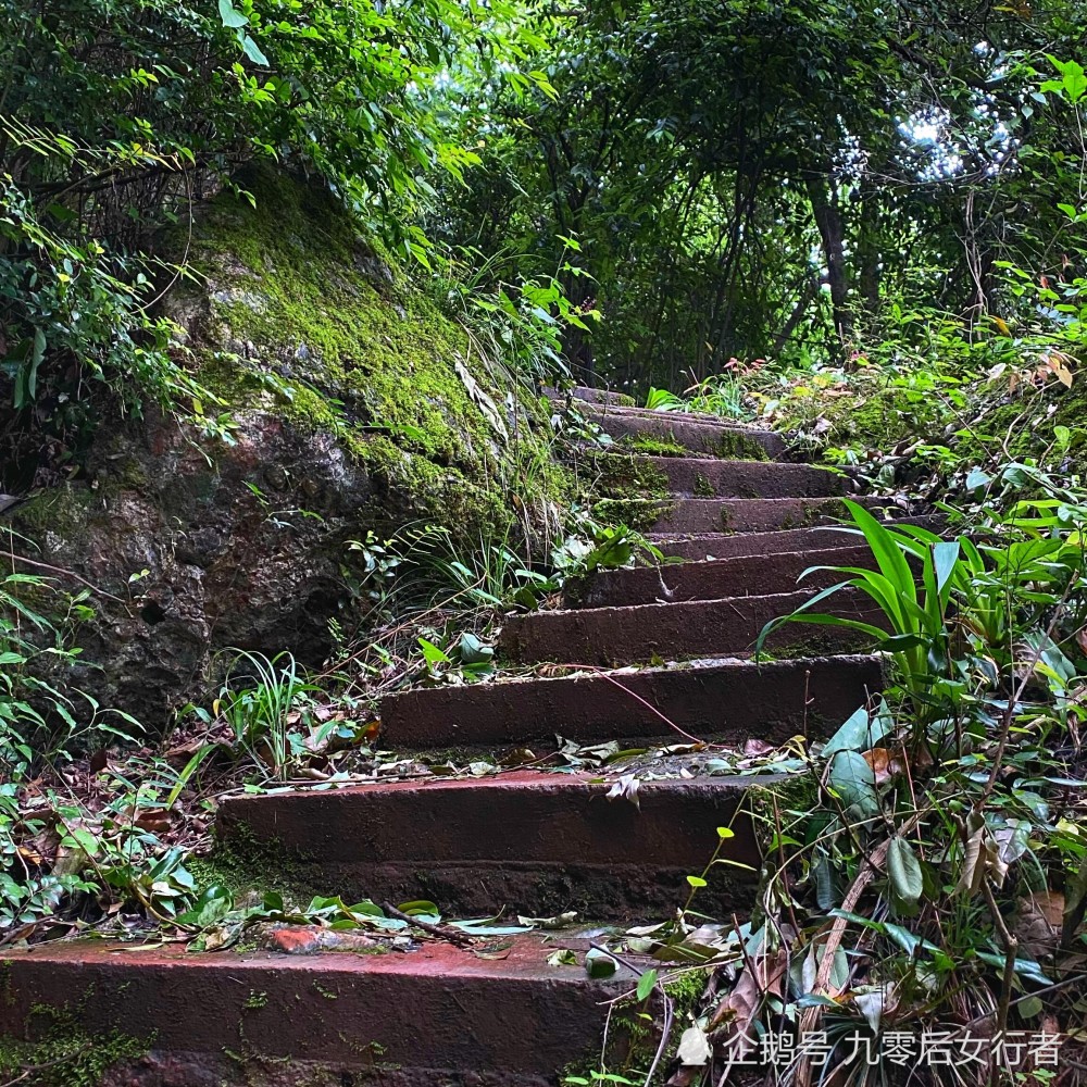 访鹤鸣山天谷洞,位于深山悬崖上深不可测,曾是历代高道修炼之地