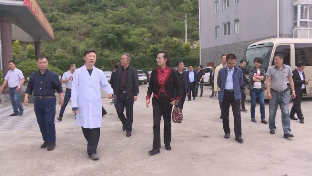 时政|省政协调研组赴关岭调研促进苗医药传承创新发展工作