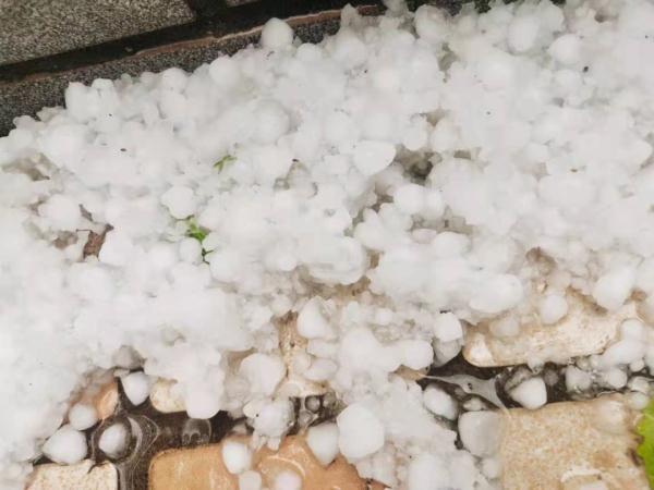 张家口降下冰雹