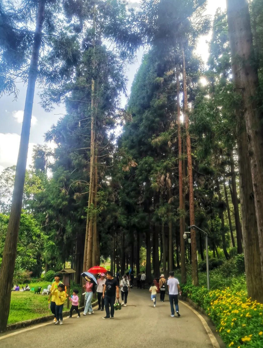 【康养福地·瀑乡安顺】遇见九龙山——家门口的山水静谧之地