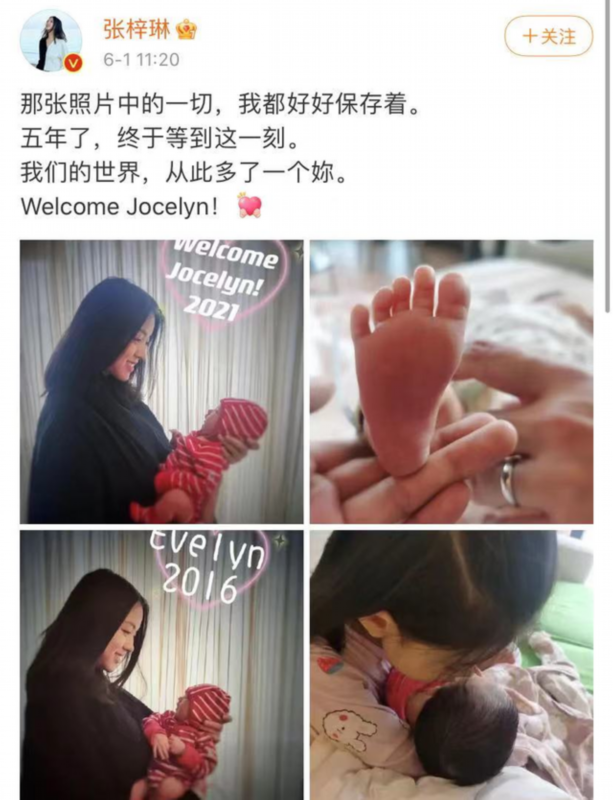 张梓琳怀孕二胎图片