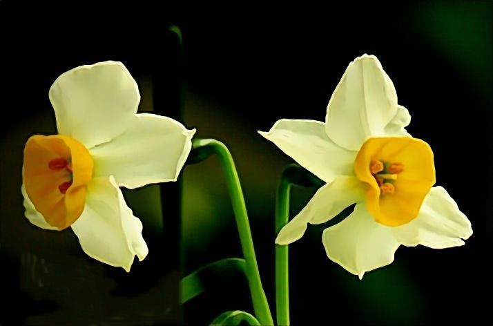 6月上旬好运爆棚 财运亨通 一帆风顺的三大星座 腾讯新闻