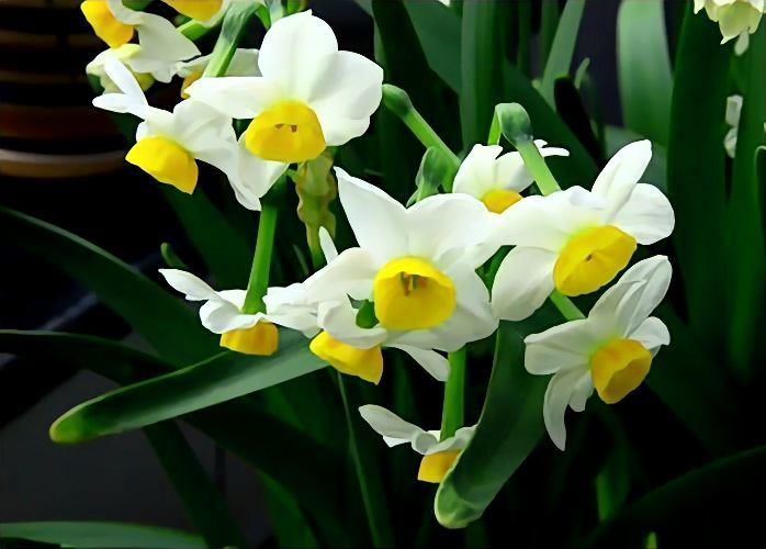 6月开始运势攀升 机遇多多 财源滚滚的三大星座 腾讯新闻