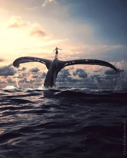 这位大神ps的图也太好看了!