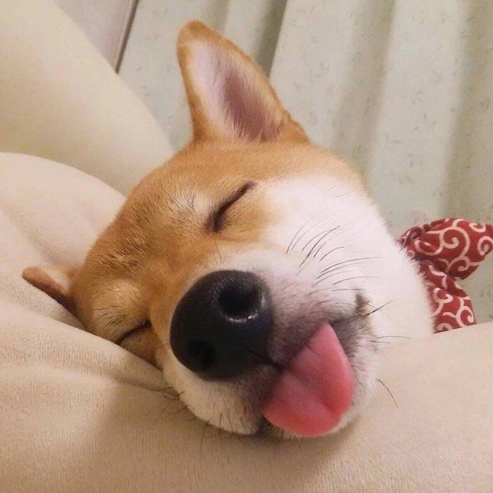 女生也很喜欢的男生头像