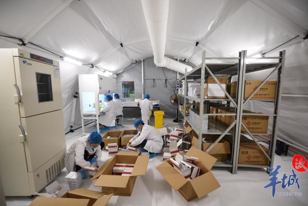 广州首次投入"猎鹰号"气膜方舱实验室,四组日检测产能可超12万管