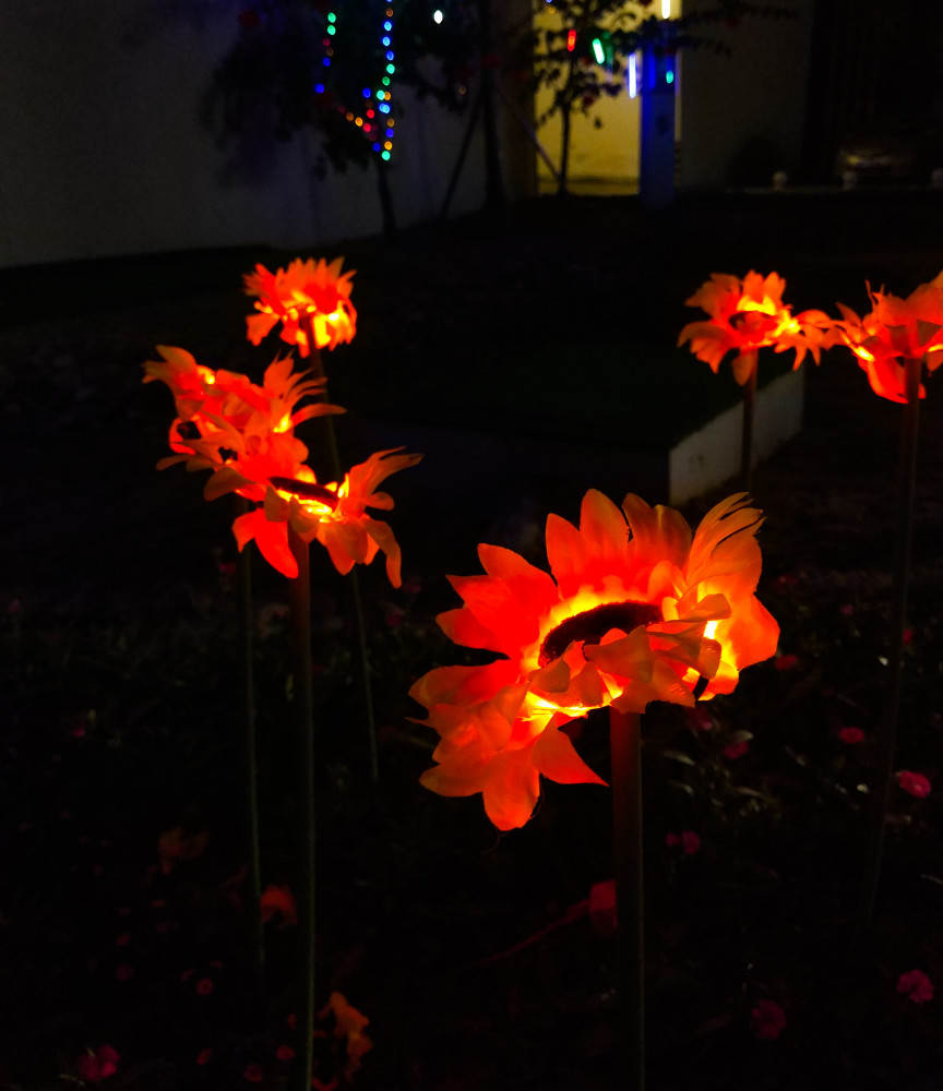 火红的花火红的叶 腾讯新闻