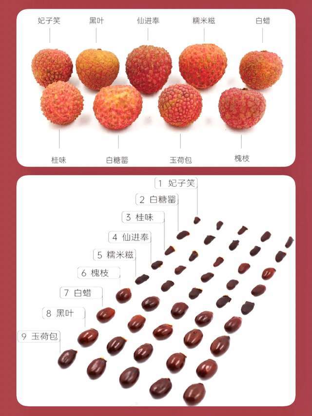 南方吃货从果皮到核详细介绍9种常见荔枝,终于不怕吃荔枝上火了