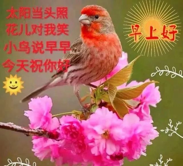 6月2日周三最新早上好问候祝福动态表情图片 最新早安问候语动态图片