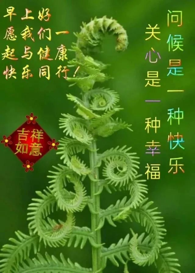 最新創意好看的的親人朋友早上好免打字圖片 暖心的早安問候祝福語