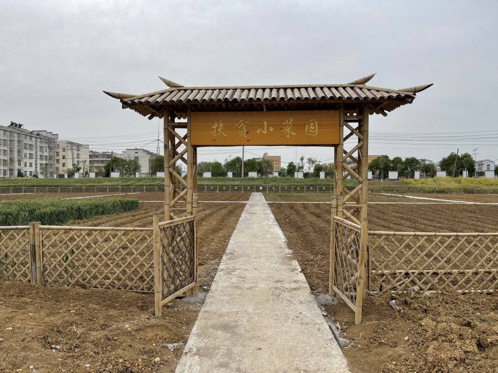 配套小菜园小广场泗洪天岗湖乡提升乡村治理新格次