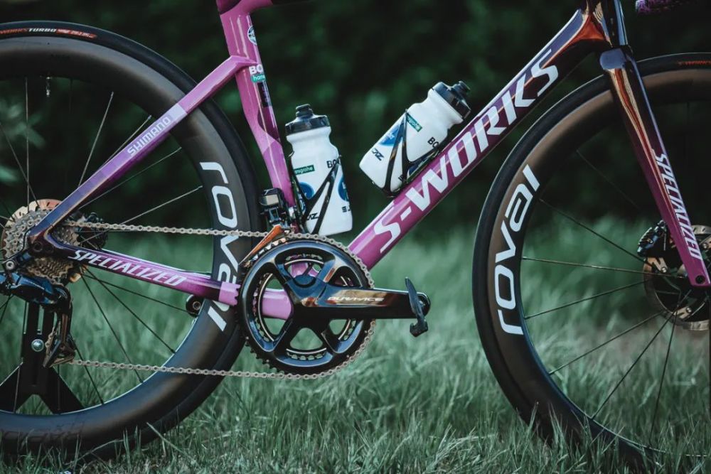 萨甘的"仙客来"版specialized tarmac sl7!