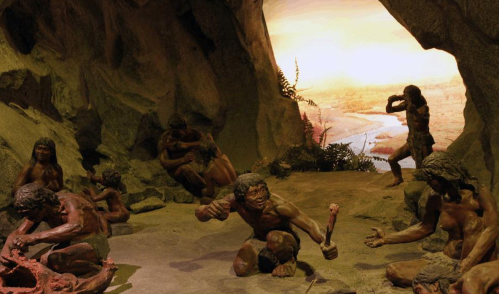 就到了原始人时代,这个时代的人们刚刚开始学会过集体生活,但这个集体