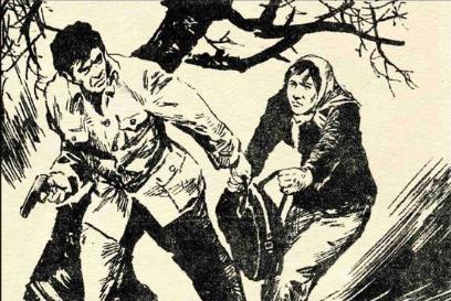 1983年全国追捕东北二王事件纪实