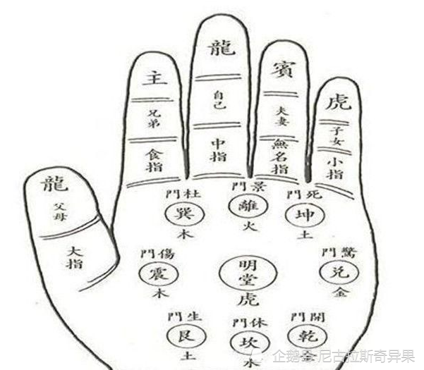 "手分八卦十二宫,万事都在一掌中"手相口诀教你简单看手相!