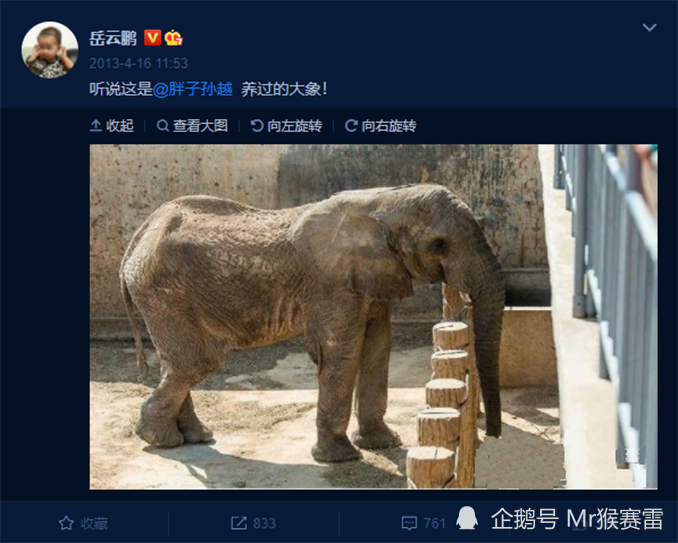 云南象群北迁德云社相声演员孙越发文求饶大象真不是来找我的