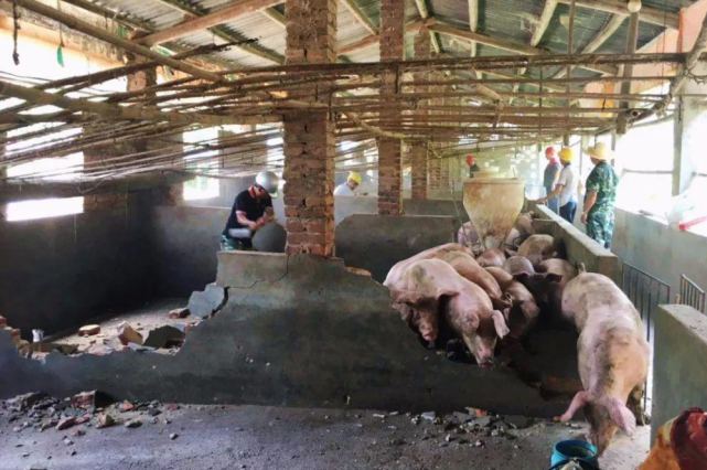 猪价遇冷,养猪逼近成本价,环保风声又来了,猪农:过河拆桥|养殖户|猪肉