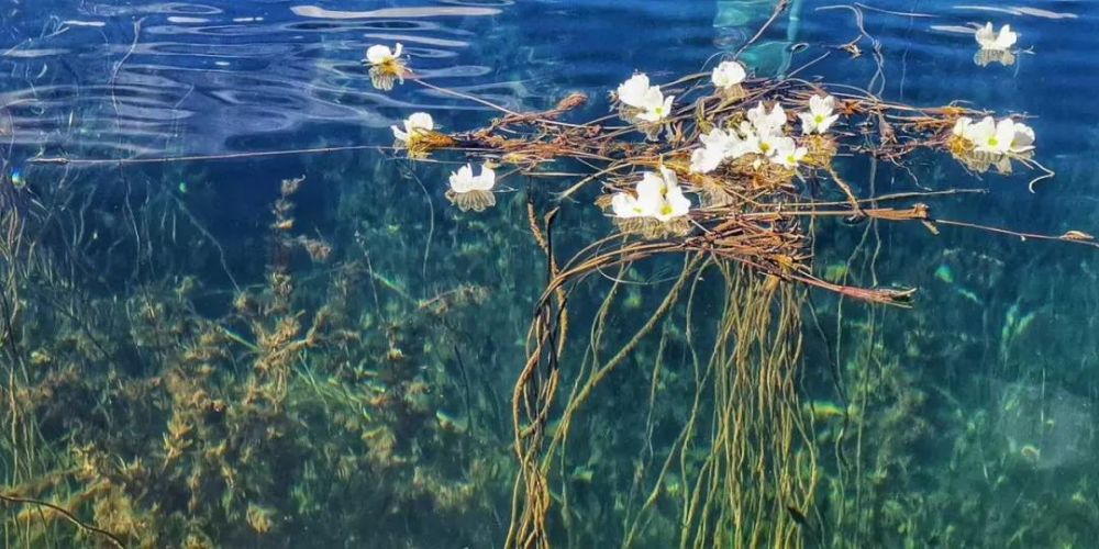 瀘沽湖的水性楊花又浪又仙太美了