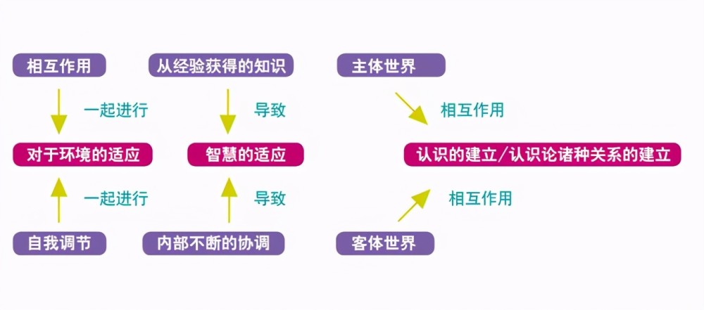 认知水平到底是个什么东西如何去提高