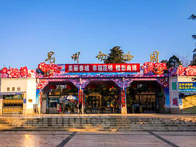 野象一路到昆明这好似安排好的一出戏