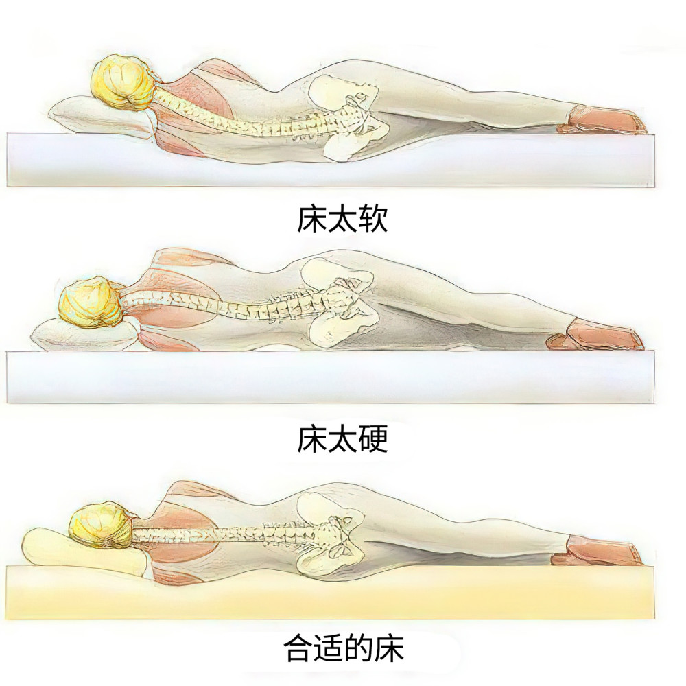 做好這12件事助您預防和緩解腰痛