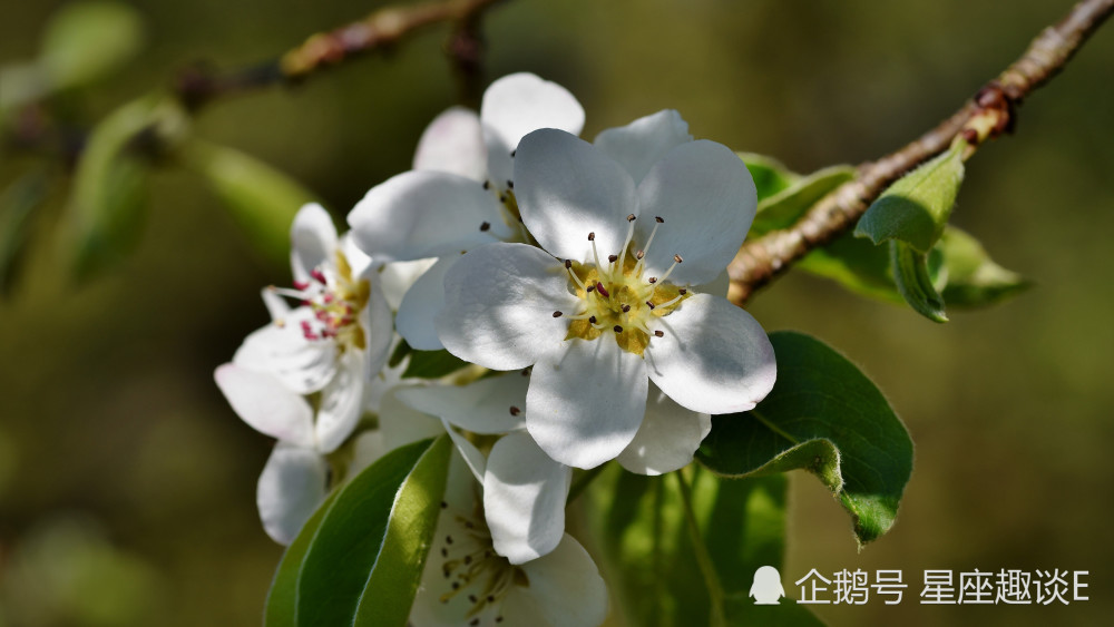6月3日星座运势 水到渠成 好运相伴的四大星座 腾讯新闻