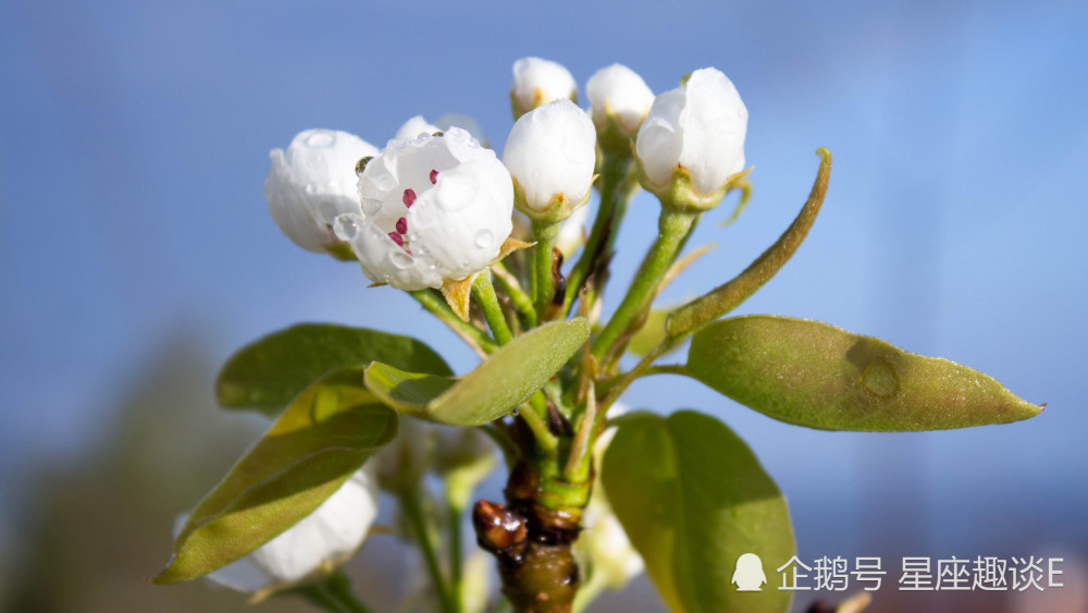 6月3日星座运势 水到渠成 好运相伴的四大星座 腾讯新闻