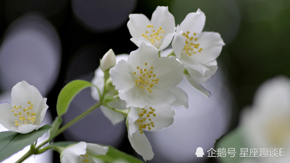 6月3日星座运势 双子执行力强 天秤另眼相看 双鱼实力大增 腾讯新闻