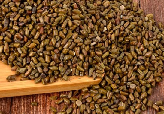 它叫"蛇灭门",名字霸气颜值高,还有芬芳气味能吓退毒蛇