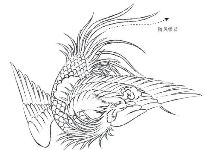 吉祥如意的白描鳳凰是這樣畫出來的