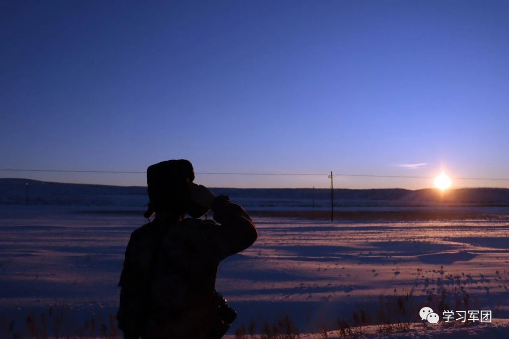 边防线上一棵小白杨长在哨所旁