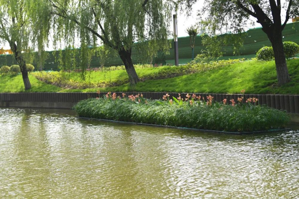 一河牵两区共绘关港河道协同治理同心圆我为群众办实事