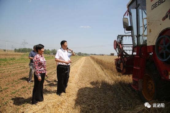 张树营在杨家集镇华岗村检查秸秆禁烧宣传情况.
