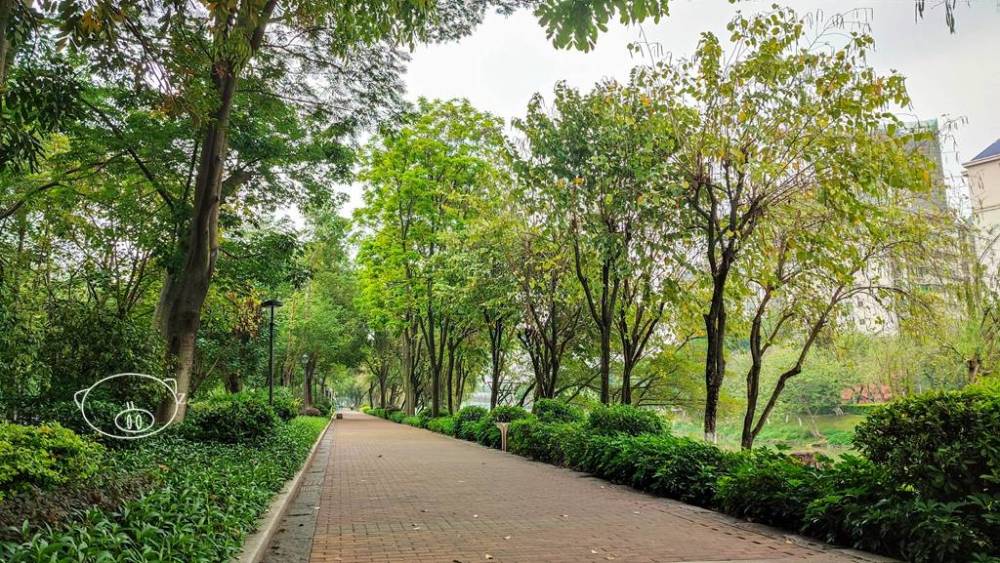 佛山漫步怡海公园怡海湖畔一河两岸的河堤公园